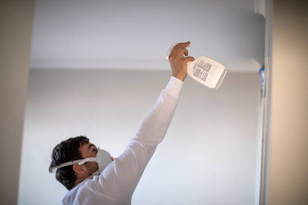 Best Black Mold Remediation in Port Orchard, WA